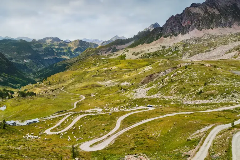 Kühe weiden an einer gewundenen Schotterstraße am Colle della Lombarda